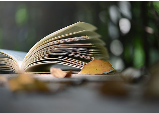 怎么测试自己的托福分数水平