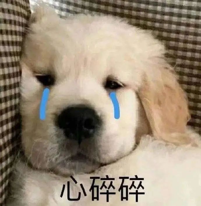 1647316976584765.jpg 微信图片_20220315120249.jpg