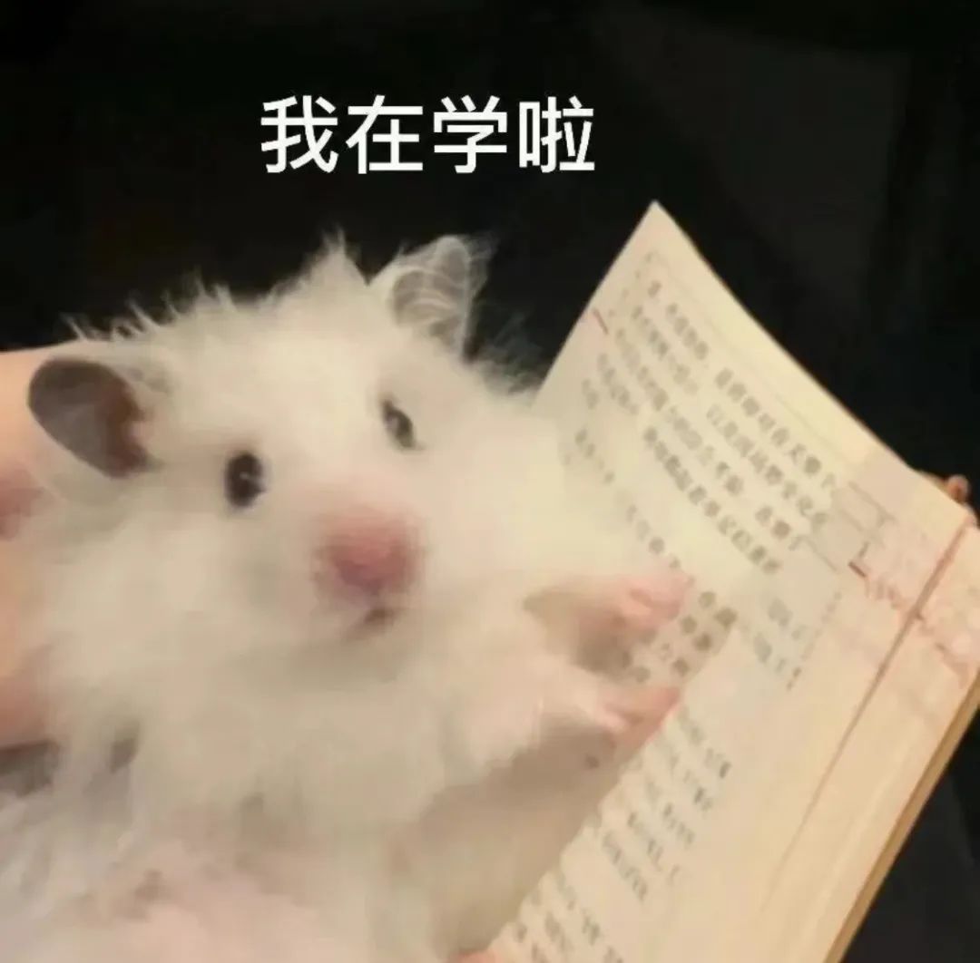 1647913837816072.jpg 微信图片_20220322095030.jpg