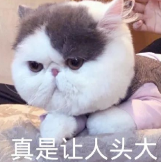 1660791072446411.png image.png