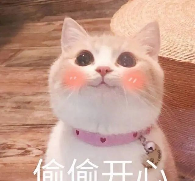 微信图片_20230404155727.jpg