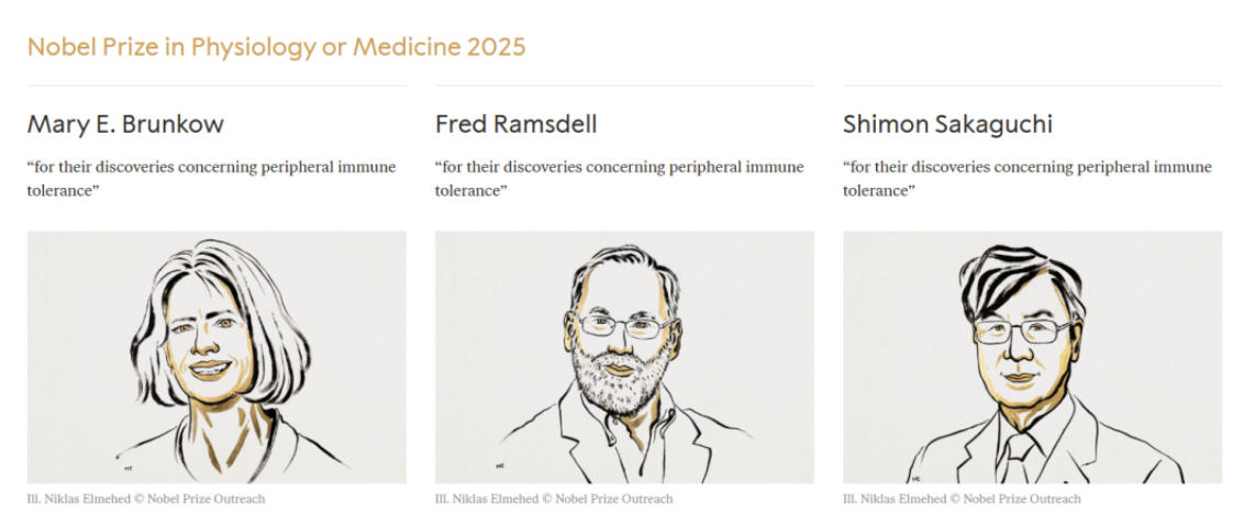 1761181916349127.png 1761181916349127.png